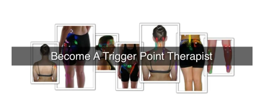 Trigger Point Therapist. Терапия триггерных точек (Laura Perry)