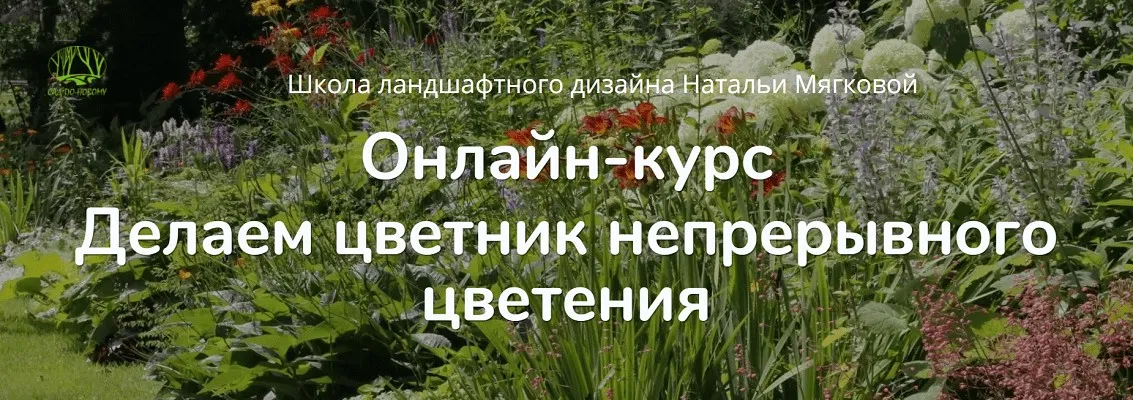 Делаем цветник непрерывного цветения. Тариф Слушатель (Наталья Мягкова)
