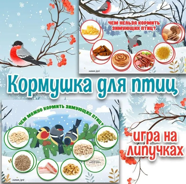 [umeem_igrat] Игра на липучках. Кормушка для птиц (Алсу Хаметова)