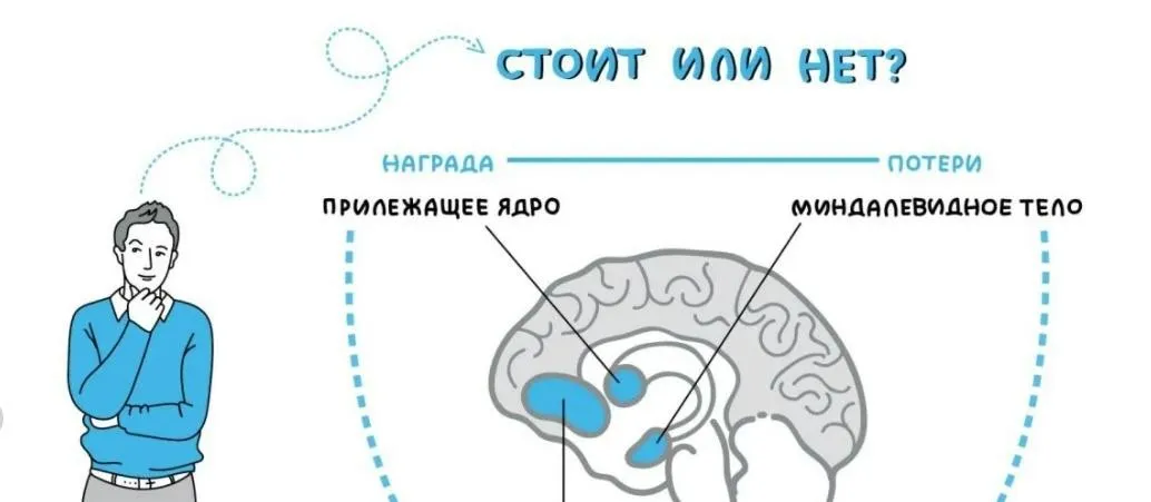 [Школа биологической кинезиологии] Нейрофизиология.Теоретические основы психосоматики, 2018