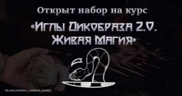 Иглы Дикобраза 2.0. Живая Магия (Татьяна Гончарова, Наталья Петрик)