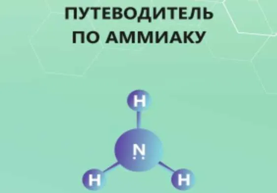 Путеводитель по аммиаку (Кристина Максимова)