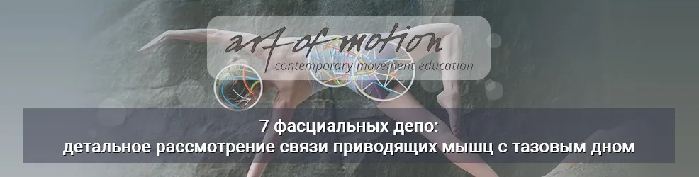 [Artofmotion] 7 фасциальных депо: детальное рассмотрение связи приводящих мышц с тазовым дном (Карин Гуртнер)