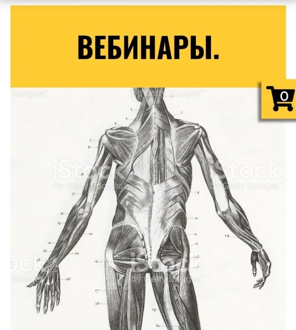 [CrowStore] Тазовое дно. Вебинары. Серия 1 (Анна Воронина)