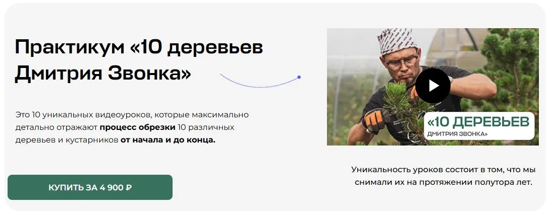 [Умный Садовник] 10 деревьев Дмитрия Звонка. Практикум (Дмитрий Звонка)