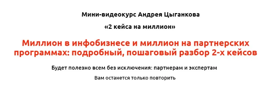 2 кейса на миллион (Андрей Цыганков)
