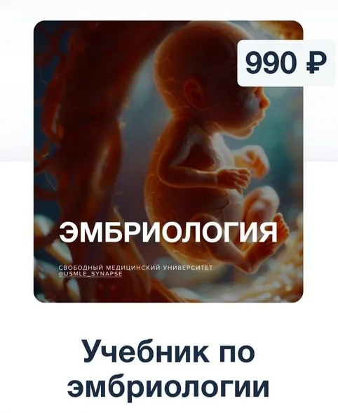 [Synapse] Учебник по эмбриологии