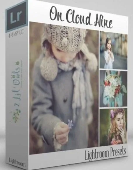 [2lilowls.com] On Cloud Nine Lightroom Presets, набор пресетов