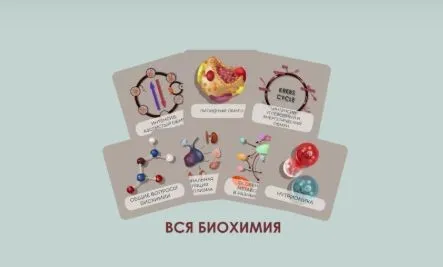 [CHRISTOVSKAYA’S Medical School] Бокс «Весь курс биохимии»