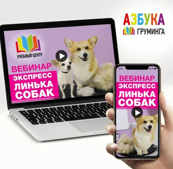 [Азбука Груминга] Экспресс линька собак на 2-х типах шерсти (Дарья Казимова)