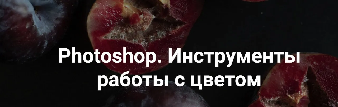 Photoshop. Инструменты работы с цветом, 2024 (Ольга Паволга)