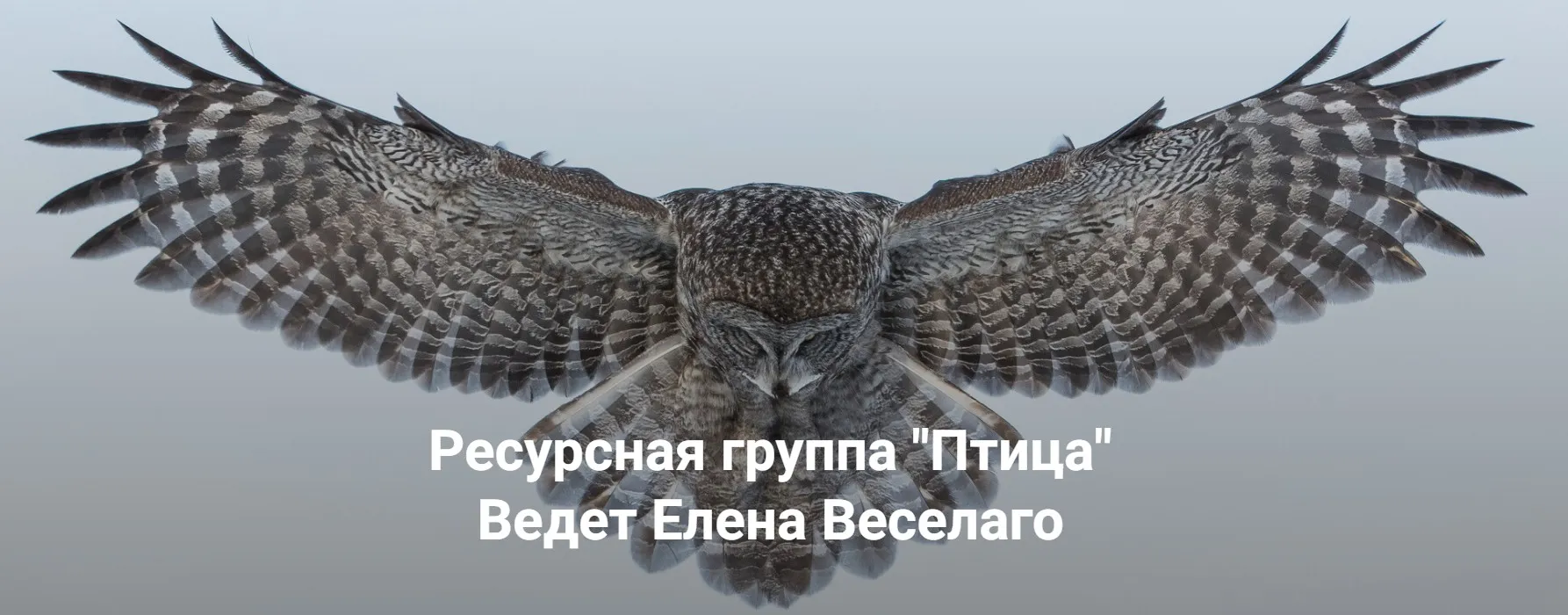 [Институт Открытого Поля] Ресурсная группа Птица (Елена Веселаго)