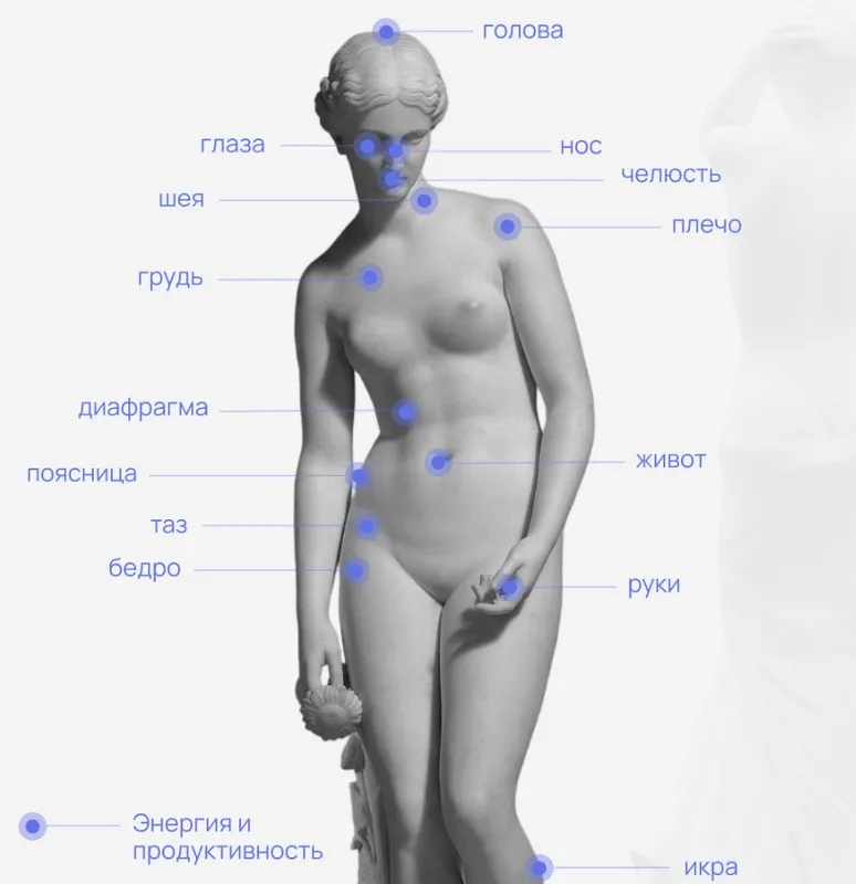Большая энциклопедия по телесно-ориентированной терапии (Анна Протасова)