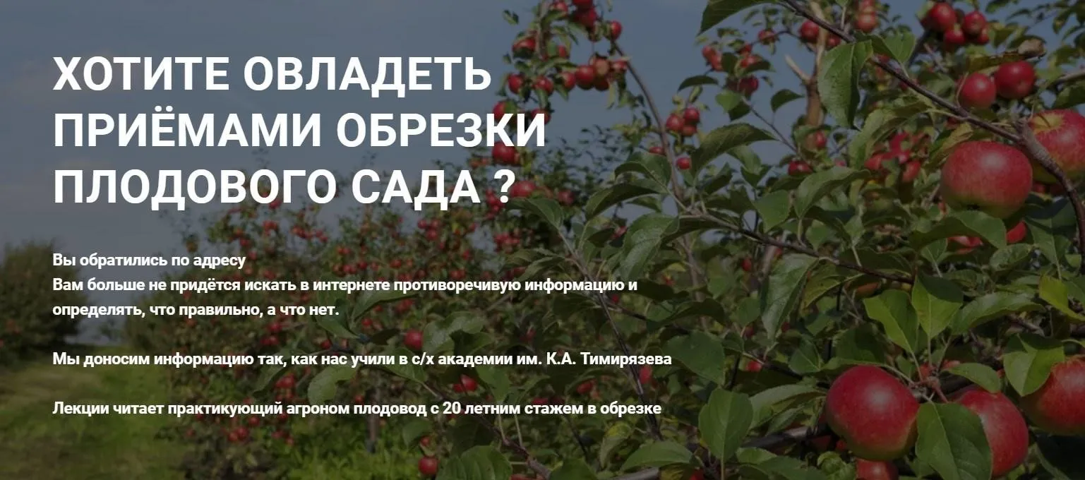Обрезка плодового сада (Владимир Самсоненко)