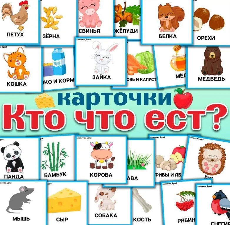 [umeem_igrat] Карточки «Кто что ест?» (Алсу Хаметова)