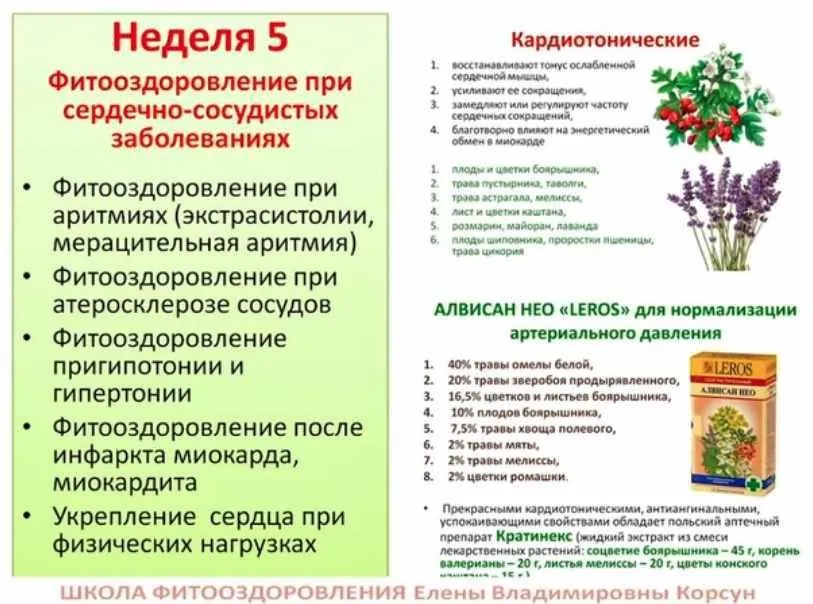 Фитооздоровление при сердечно-сосудистых заболеваниях (Елена Корсун)