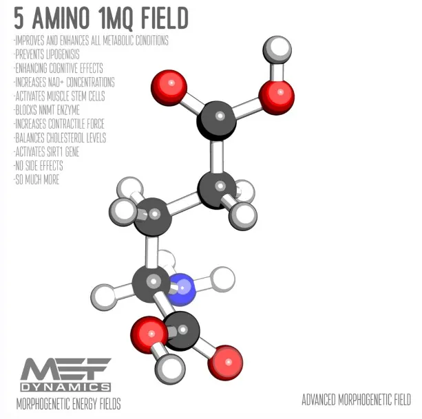 [MEF Dynamics] 5 Amino 1MQ (Morphic Field)