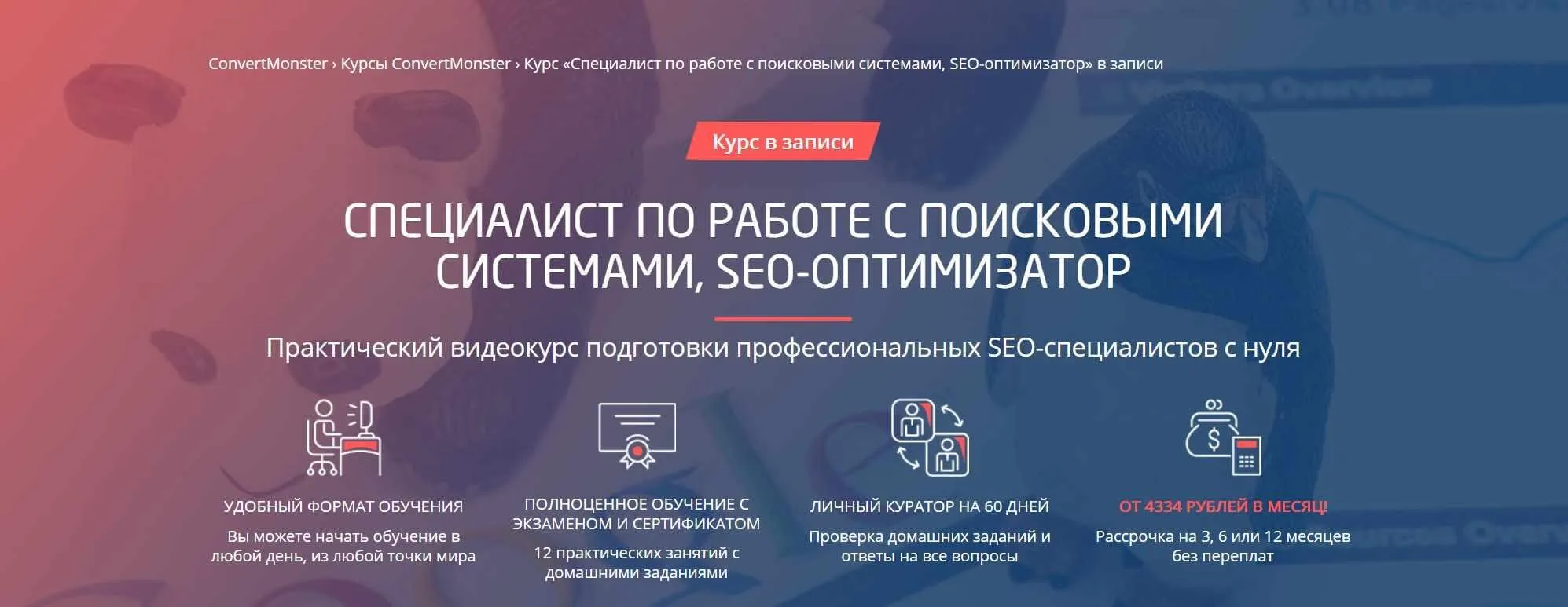 [Convert Monster] Специалист по работе с поисковыми системами SEO-Оптимизатор 2019 (Анастасия Богуш)