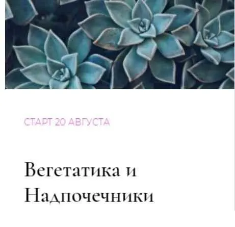 Клуб Gastrosmile. Агвуст (Венера Хабирова)