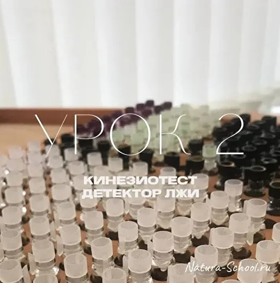 [Natura-School] Урок 2 «Кинезиотест - детектор лжи» (Олег Гитбиндер)