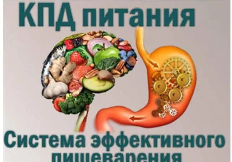 КПД питания. Система эффективного пищеварения (Ольга Бутакова)