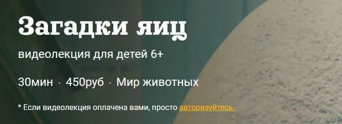 [Детский лекторий] Загадки яиц (Александр Толмачев)
