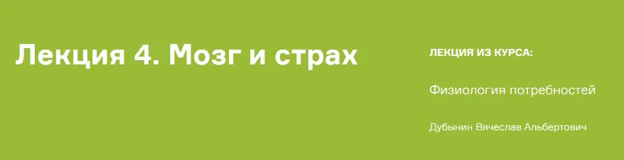Мозг и страх, мозг и стресс (Вячеслав Дубынин)