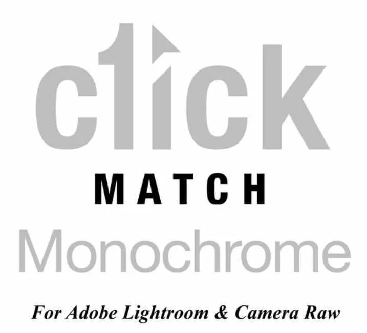 [Thearchetypeprocess.com] ЧБ пресеты для свадеб. Monochrome Pack (C1ick Match)