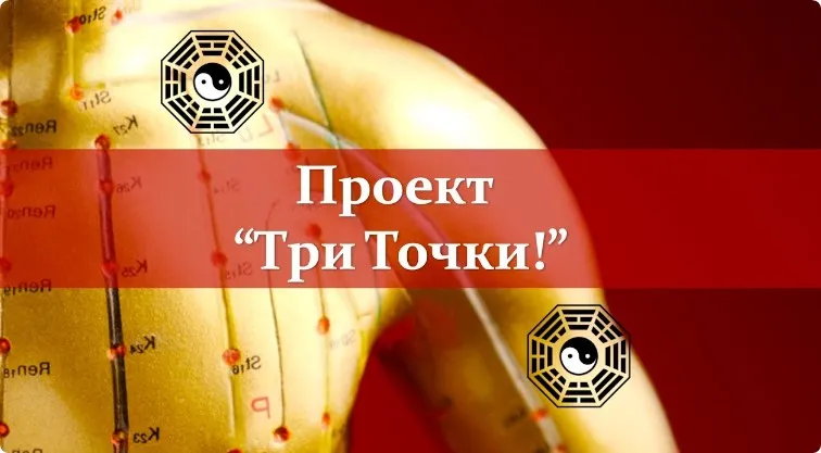 Материалы проекта Три Точки (Владимир Заворотный)