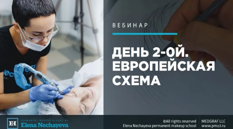 День 2-ой. Волосок. Европейская схема (Елена Нечаева)