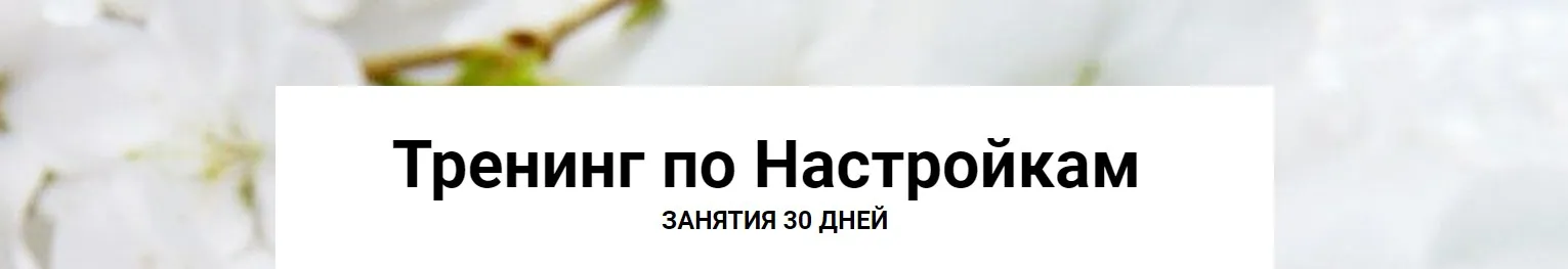 Тренинг по настройкам (Алена Китаева)