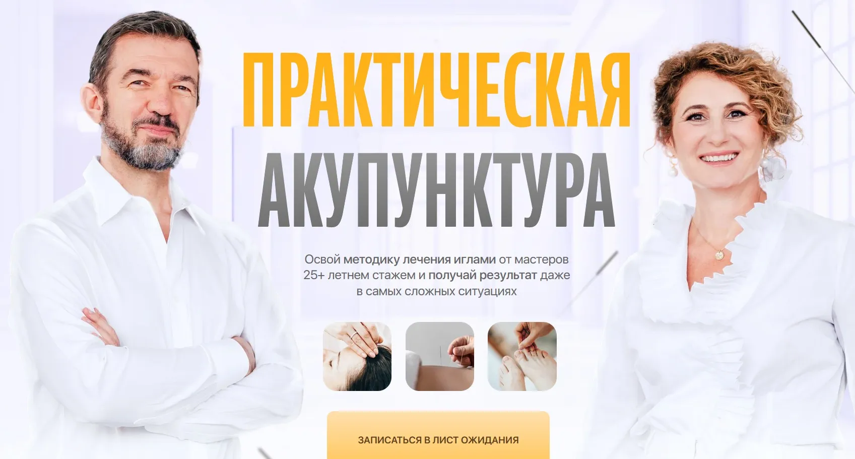 Практическая акупунктура. Модуль 8. Тариф Самостоятельный (Тамара Хестанова, Станислав Сидоров)