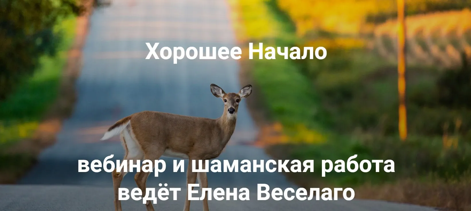 [Институт Открытого поля] Хорошее начало (Елена Веселаго)