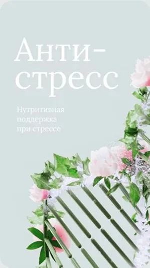 [dr_mashkina] Антистресс 2024 (Ксения Машкина)