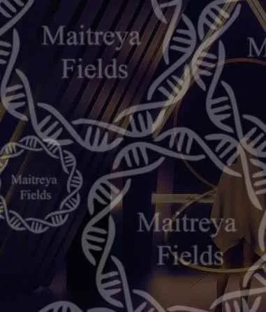 [Maitreya Fields]  DM: SBR Часть 4: Мимик