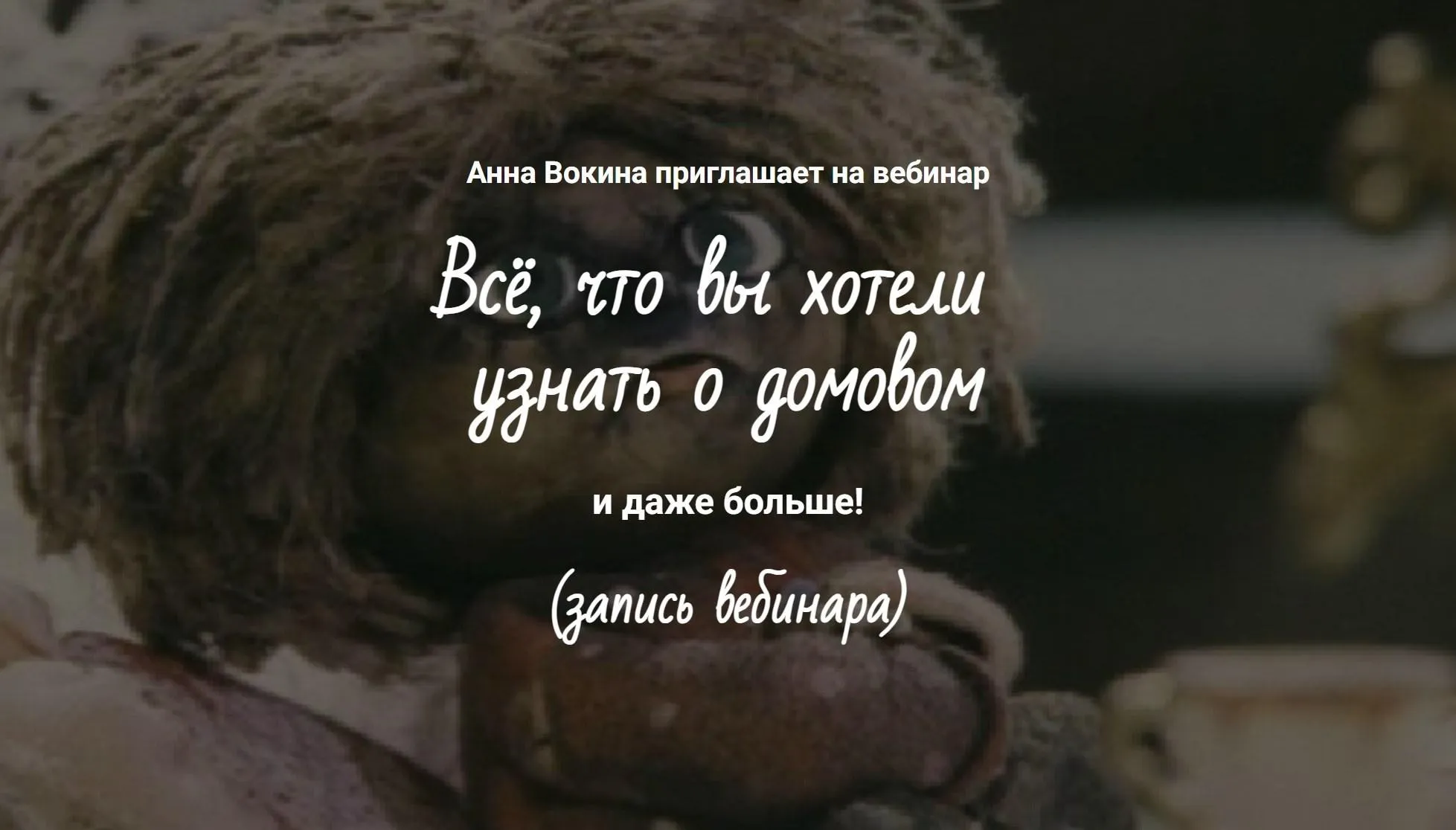 Домовой - что это? (Анна Вокина)