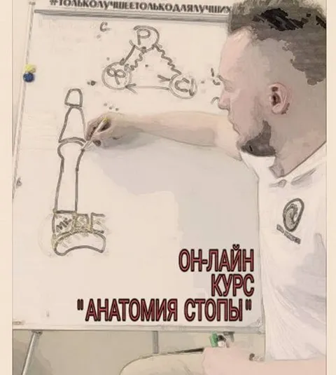 Анатомия стопы (Кирилл Шлыков)