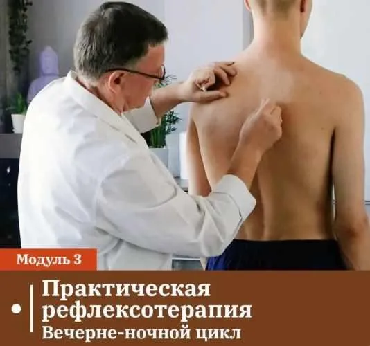 [Сандал] Практическая рефлексотерапия. Модуль 3. Вечерне-ночной цикл (Владимир Кононов)