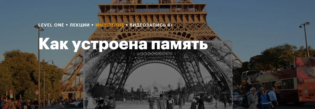 [Level One] Как устроена память (Елена Белова)