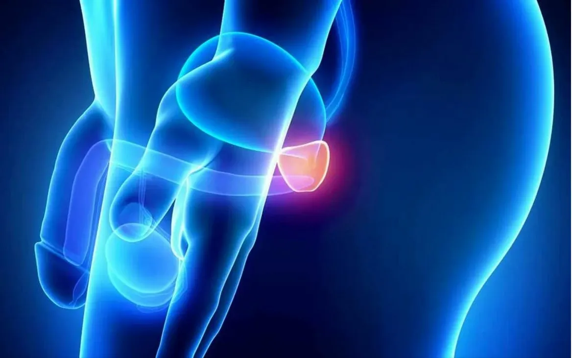 [Sigh Energy] Prostate Powerful Plus +11x (Extra Strong)