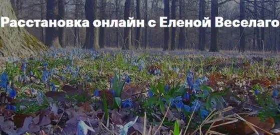 Расстановка онлайн. 25 ноября (Елена Веселаго)