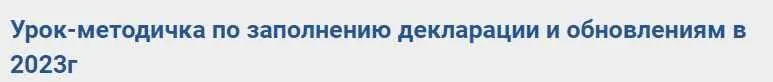 Урок-методичка по заполнению декларации и обновлениям в 2023г (Полина Гавричкина)