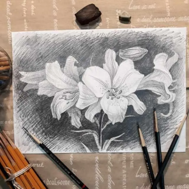 Азбука рисования простым карандашом (Екатерина Крюкова)