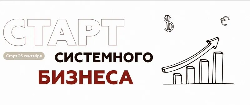 Старт системного бизнеса. Тариф Всё сам (Анна Михайлова)