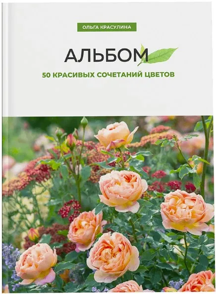 Черенкование кустарников (Ольга Красулина)