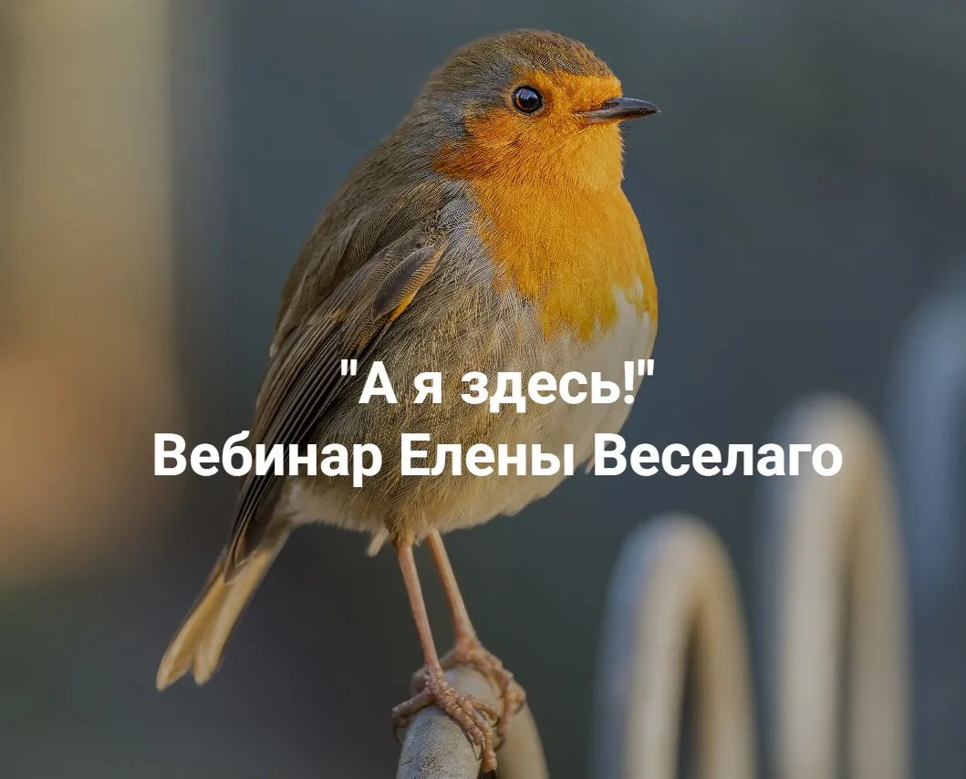 [Институт Открытого поля] А я здесь!  (Елена Веселаго)