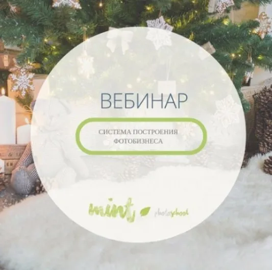 Система построения фотобизнеса (Lena Mint)