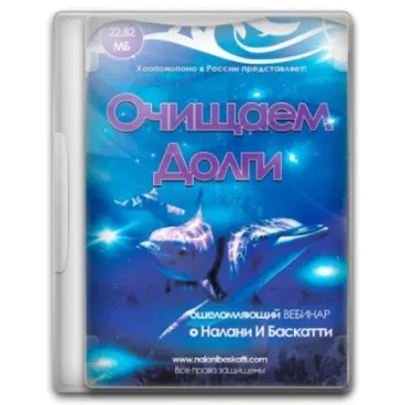 Как очищать долги (Налани Баскатти)