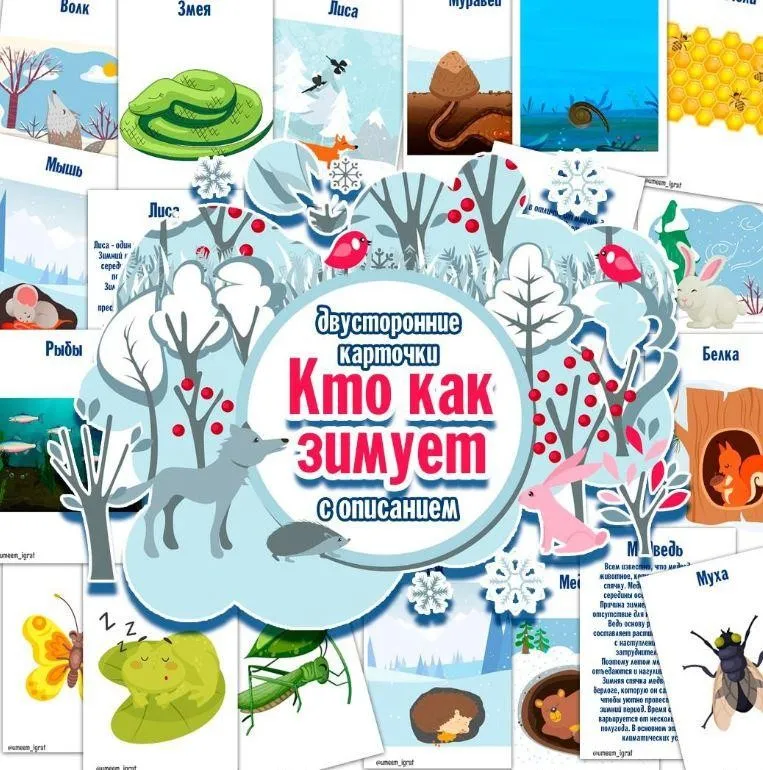 [umeem_igrat] Карточки с описанием. Кто как зимует (Алсу Хаметова)