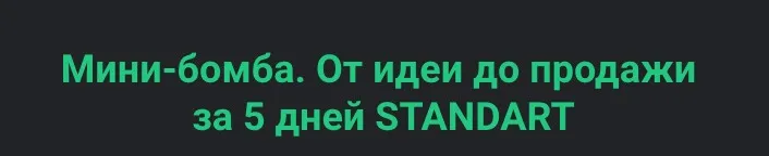 Мини-бомба. От идеи до продажи за 5 дней. Тариф Standart (Сергей Загородников)